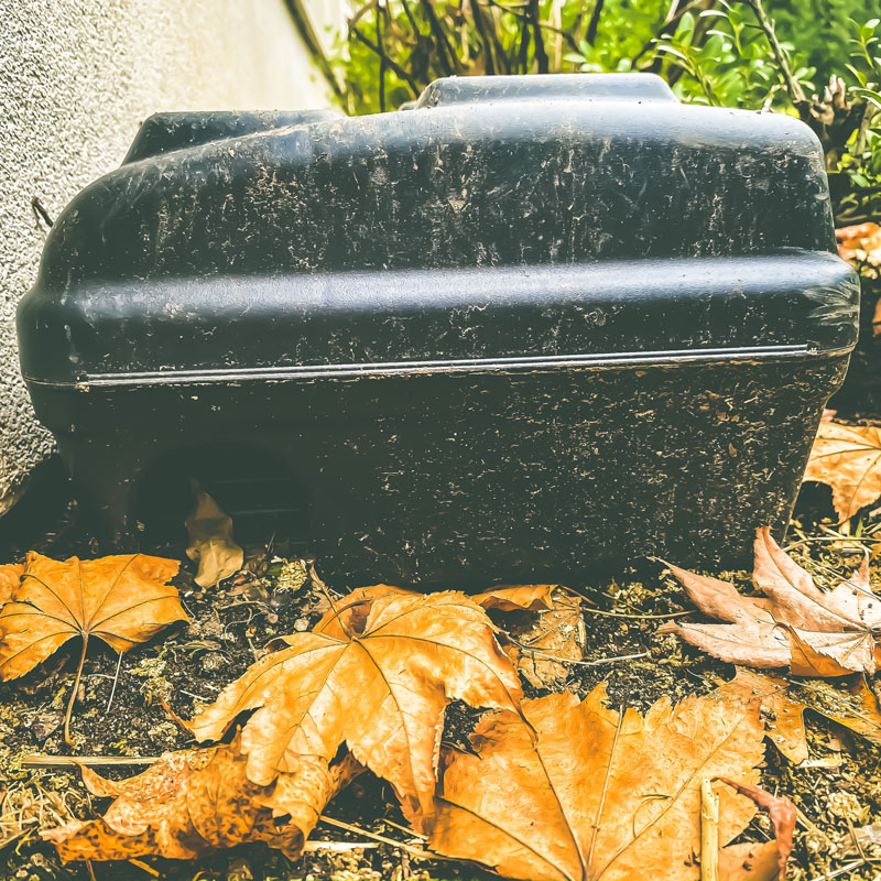 rodent capture box