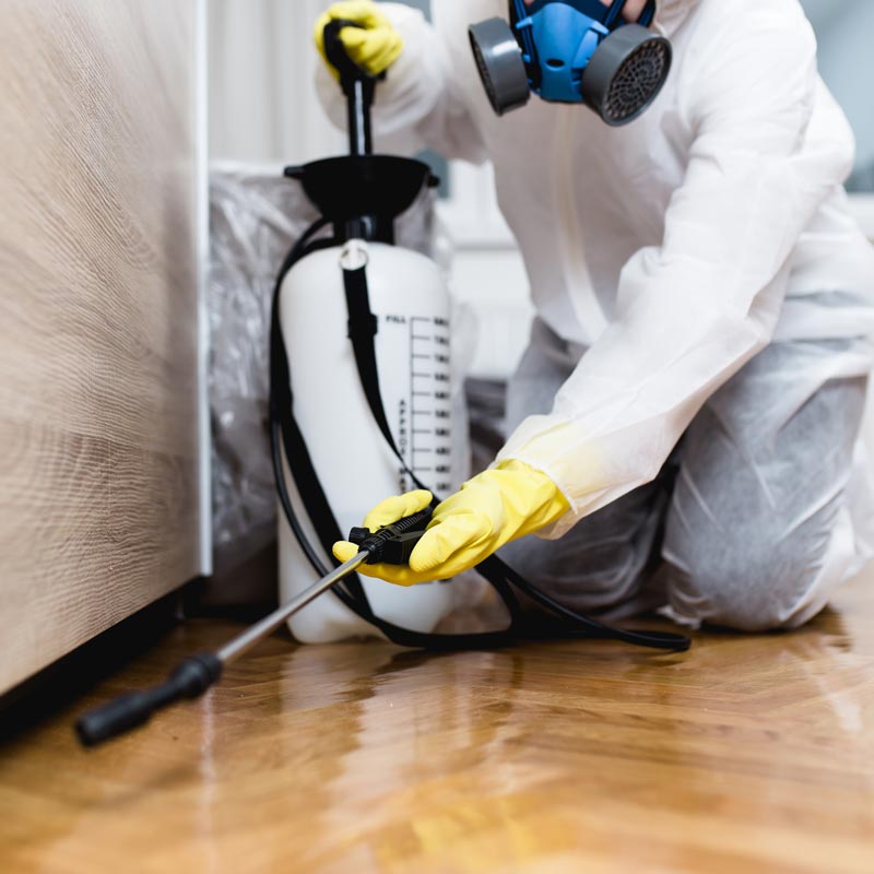 technician spraying for pests near baseboards